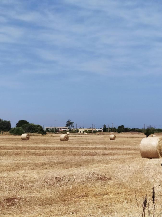 Dimora Dell'Ulivo Βίλα Polignano a Mare Εξωτερικό φωτογραφία